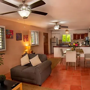 Budgies Apartamento