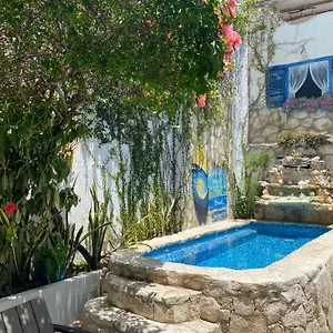 Caribo קוזומל
